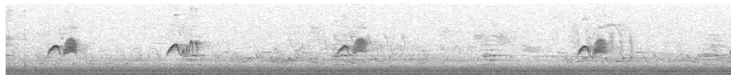 Eastern Phoebe - ML617375766