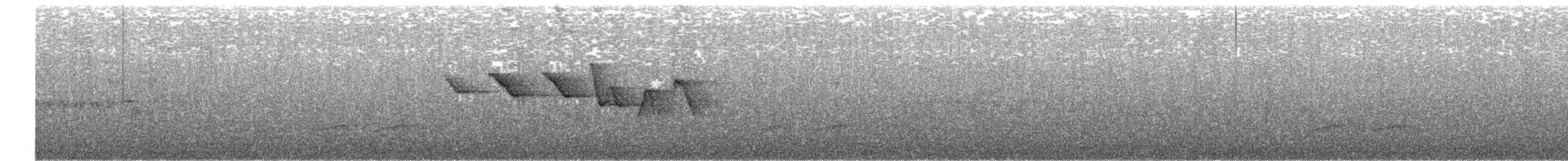 Трясогузковый певун - ML617378899