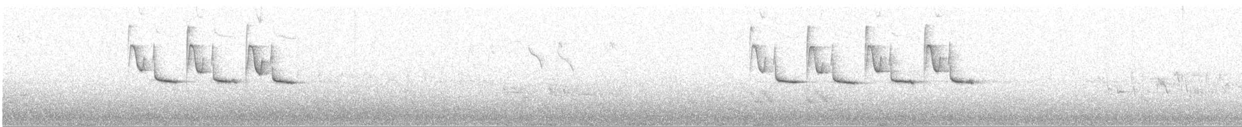 Синиця чорна (підвид britannicus/hibernicus) - ML617381533