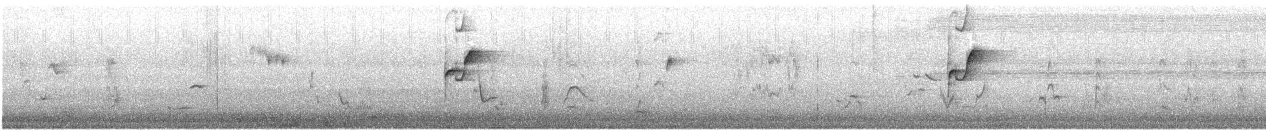 Western Flycatcher (Pacific-slope) - ML617381701