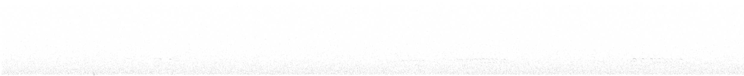 koliha malá (ssp. phaeopus) - ML617381747