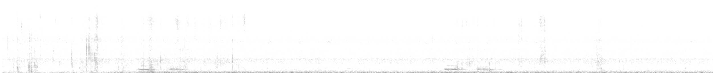 Сова-голконіг австралійська - ML617382214