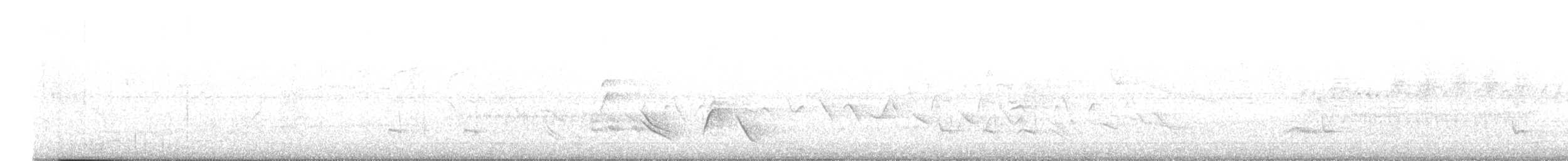 Pepitero Grisáceo del Caribe - ML617383651
