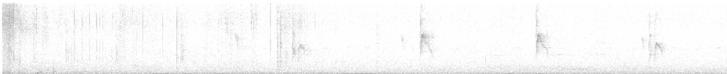 Weißbauch-Dickichtschlüpfer - ML617384674