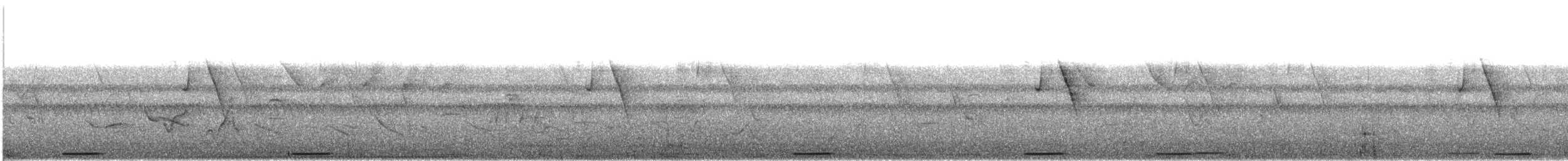 holoubek šedomodrý - ML617387900