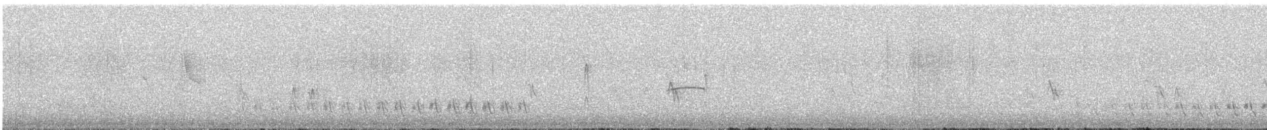Cactus Wren - ML617393537