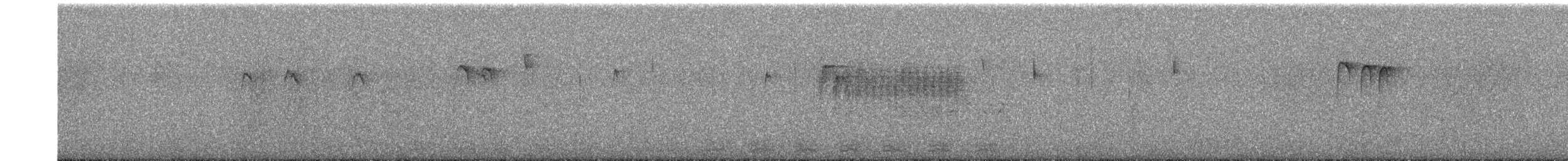 Trogon élégant - ML617394557