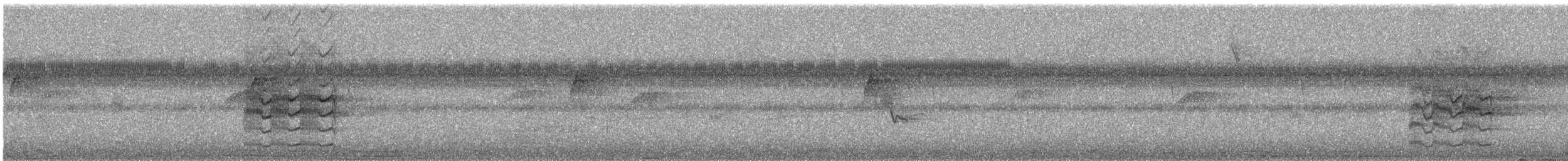 Starkschnabel-Maskentyrann - ML617395311