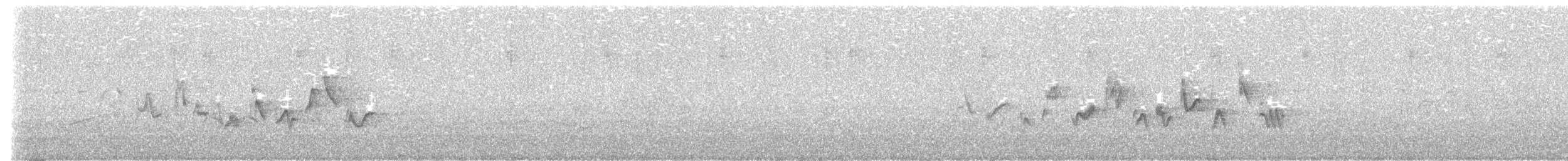 Warbling Vireo (Western) - ML617395568