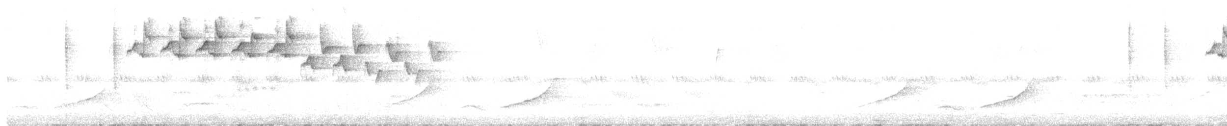 lesňáček černobílý - ML617396096