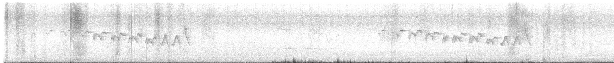 Yellow-throated Warbler - ML617396336