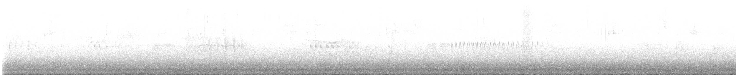 Юнко сірий (підвид hyemalis/carolinensis) - ML617396597