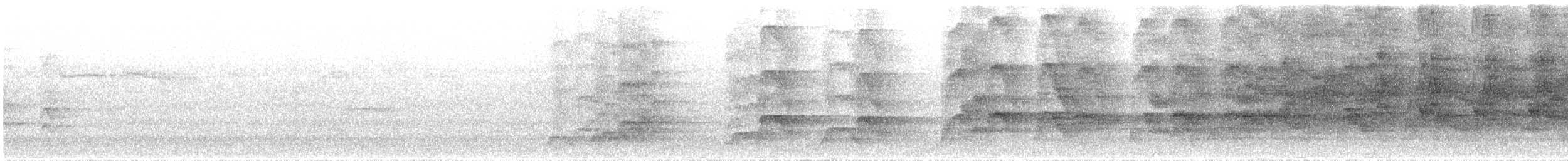 Halsbandsegler - ML617399012