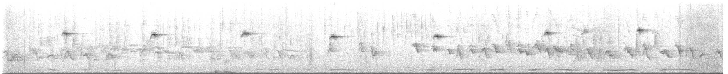 kolibřík blankytohrdlý - ML617399779
