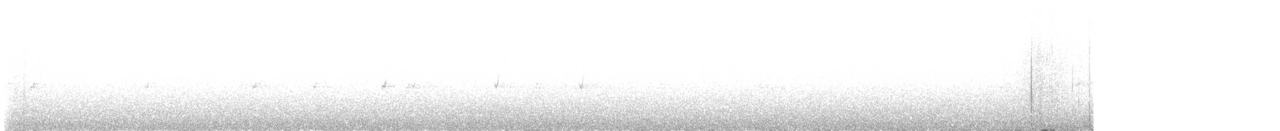 Bec-croisé des sapins (type 10) - ML617400399