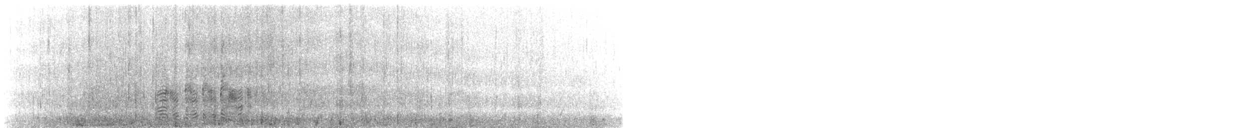 svartflekkalbatross - ML617402400