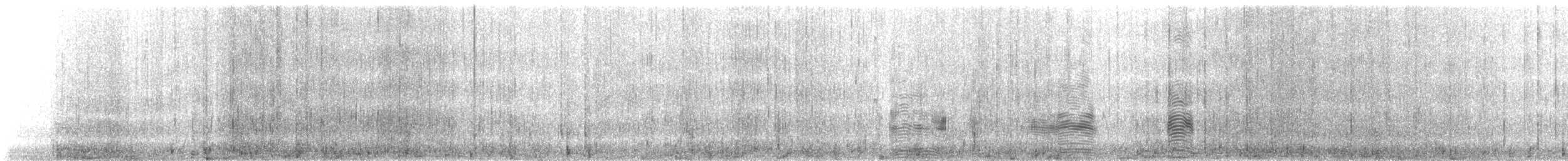 אלבטרוס לבן-כיפה - ML617402401