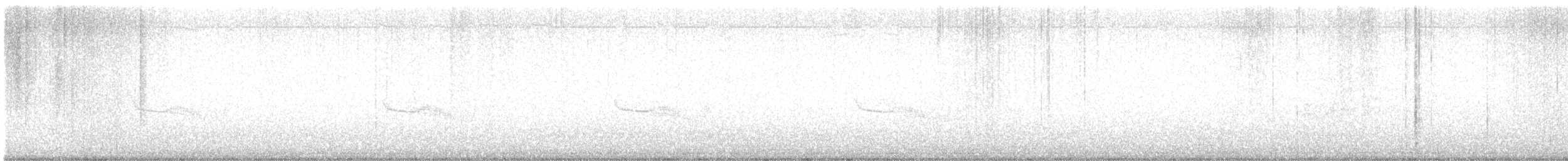 Breitspiegel-Nachtschwalbe - ML617403307
