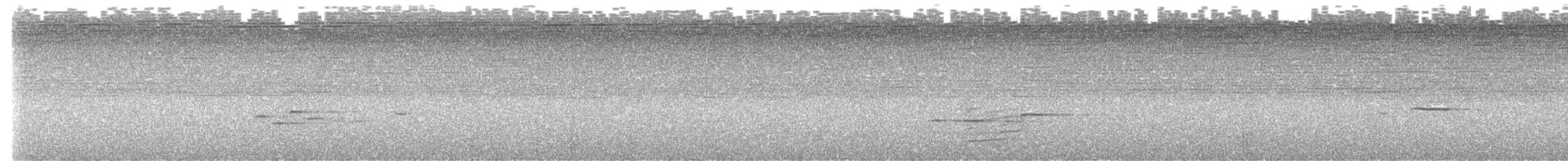 Дрізд-короткодзьоб сірий - ML617406658