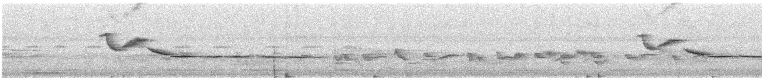 Nilgiri Sholakili - ML617410970