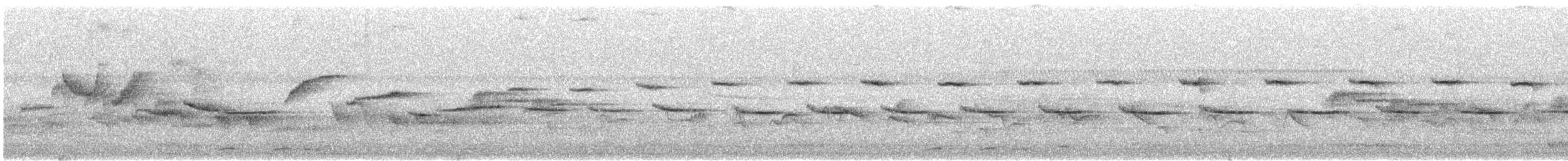 Nilgiri Sholakili - ML617410973