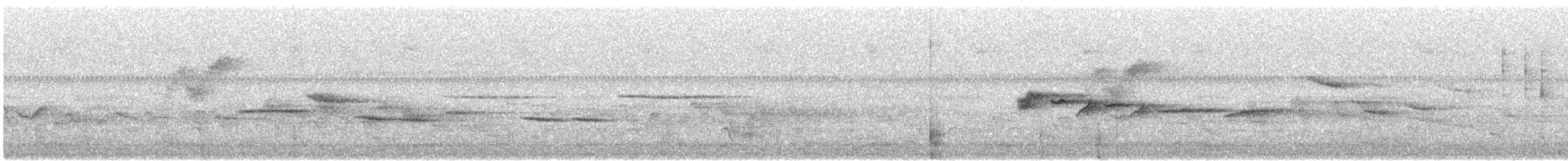 Nilgiri Sholakili - ML617410975