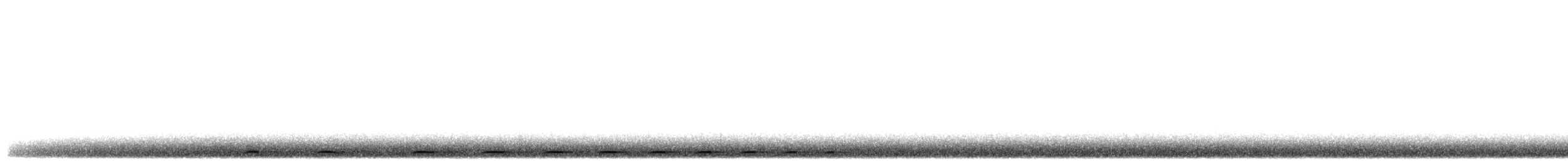 holub okrovohrdlý (ssp. leucotis) - ML617411614