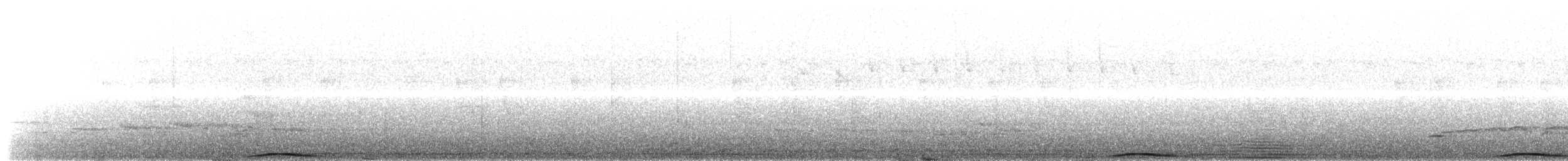holub černobradý - ML617411616