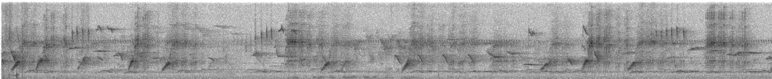 Тимелія-клинодзьоб світловола - ML617411638