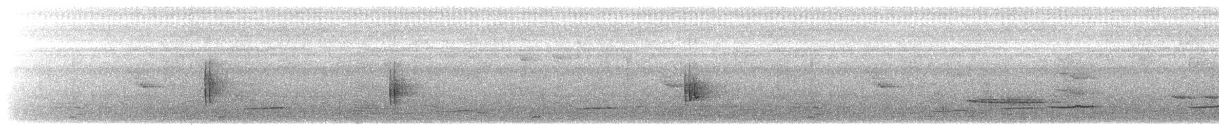 Isabela Oriole - ML617411680