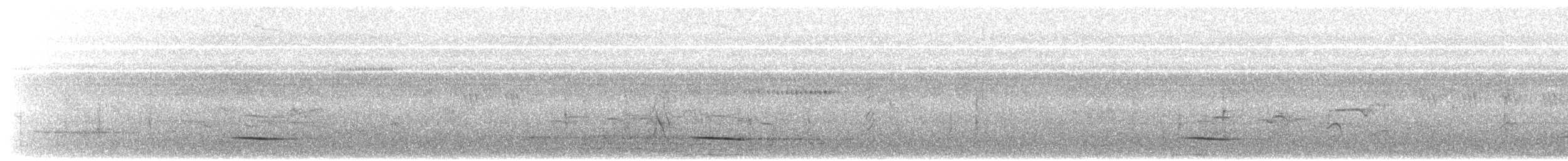 Isabela Oriole - ML617411683