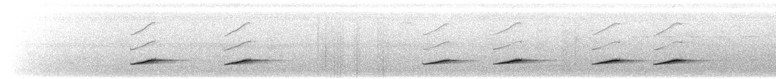 Siffleur des Philippines (groupe philippinensis) - ML617411714