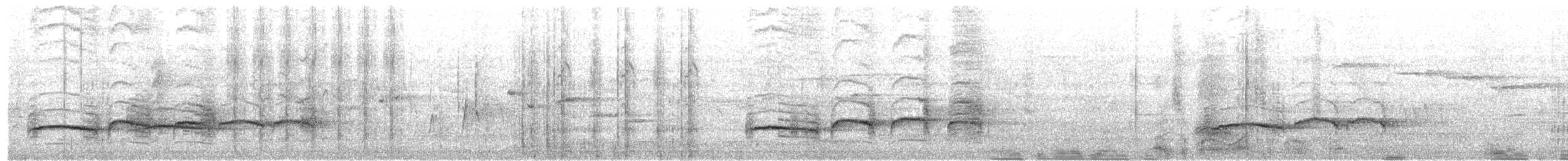 Тимелія-клинодзьоб світловола - ML617414572
