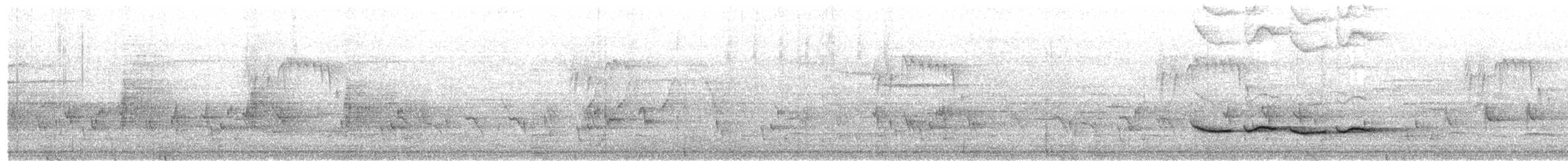 Тимелія-клинодзьоб світловола - ML617414573