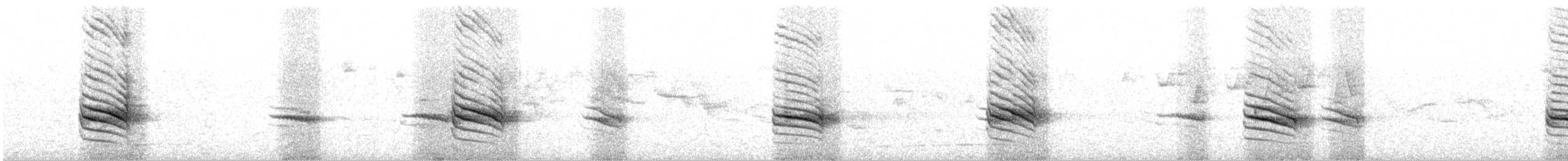 Пестрогорлая юхина - ML617415544