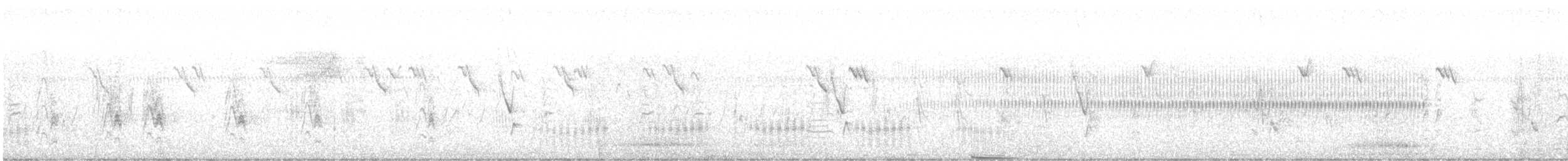 Усны бух шувуу - ML617415622