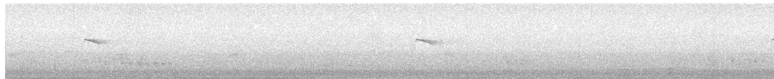 Common Kingfisher - ML617416488