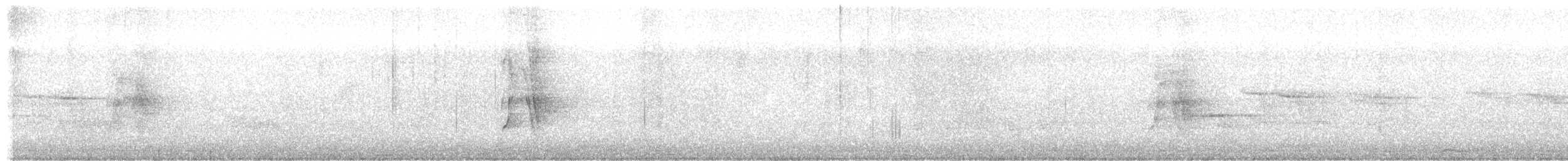Сверкающий дронго [группа bracteatus] - ML617416555