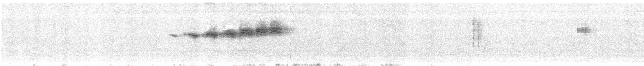 Prairie Warbler - ML617419213