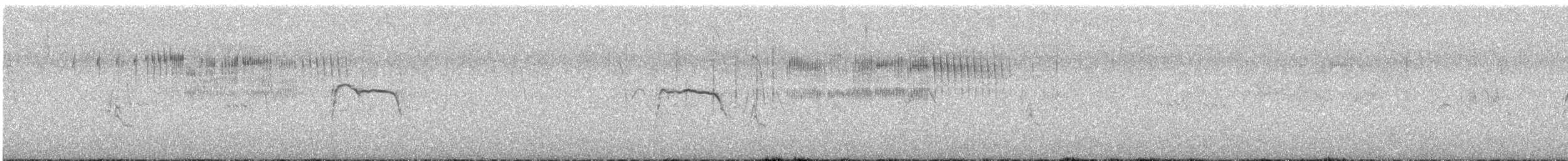 Wiesenweihe - ML617419693