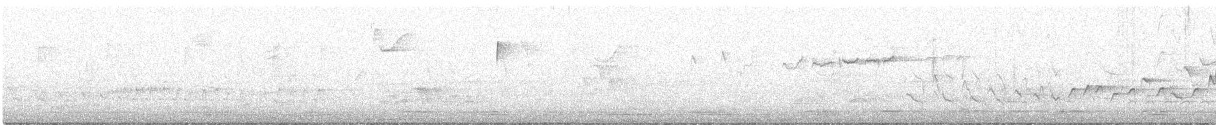 Roitelet à couronne rubis - ML617420204