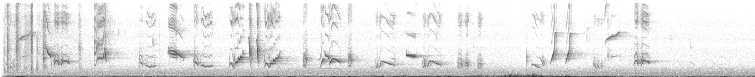 Long-billed Thrasher - ML617420369