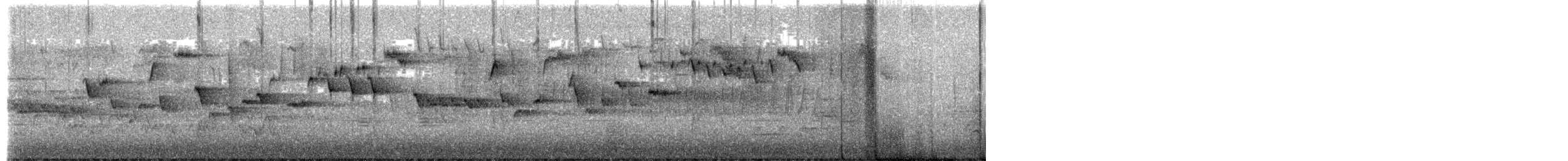 Winter Wren - ML617421494