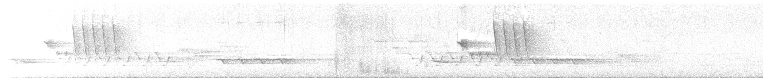 Дрізд-короткодзьоб плямистоволий - ML617422210