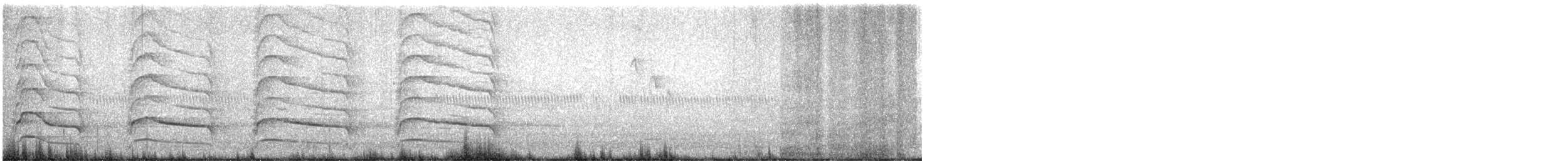 Red-shouldered Hawk - ML617424295