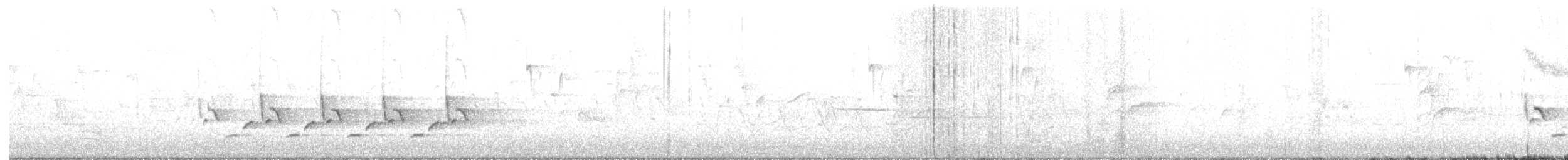 Поплітник каролінський - ML617426192