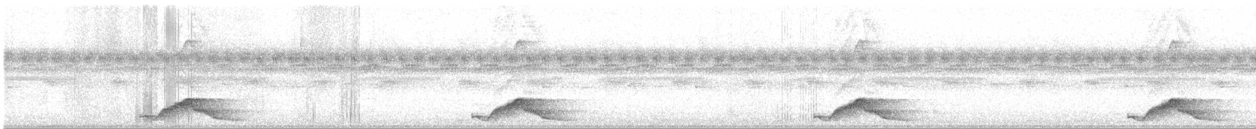 Pauraquenachtschwalbe - ML617429359