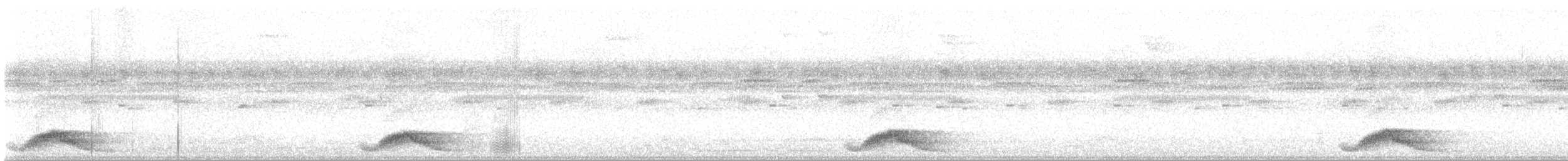 Pauraquenachtschwalbe - ML617429360