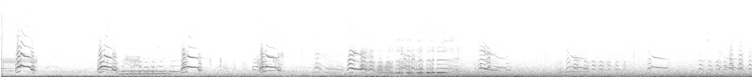 racek jižní (ssp. dominicanus) - ML617429569