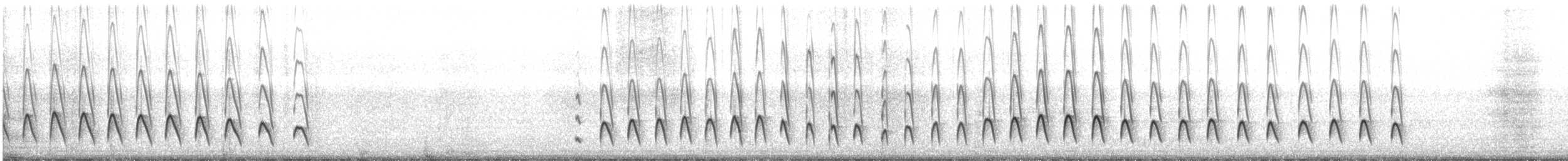 יסעורון וילסון (chilensis) - ML617429816